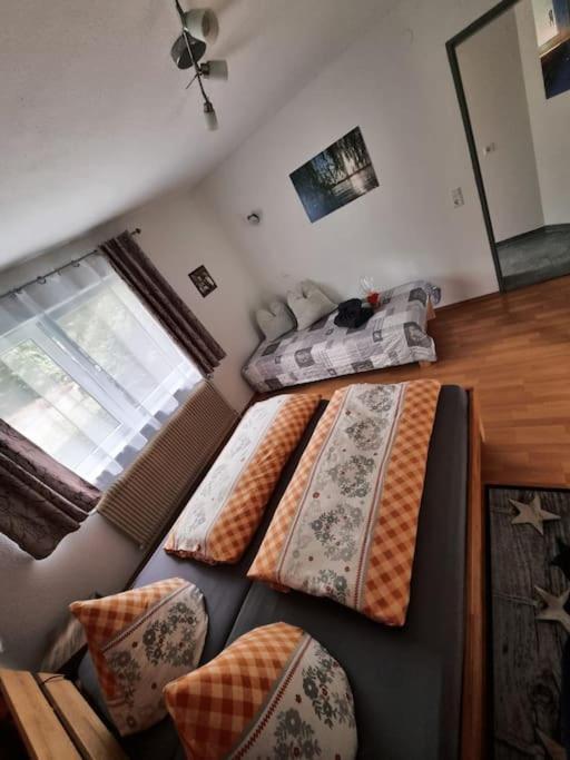 Ferienwohnung Schog Todtnau Dış mekan fotoğraf