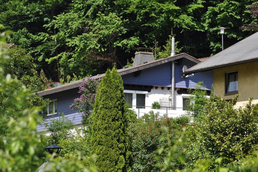 Ferienwohnung Schog Todtnau Dış mekan fotoğraf